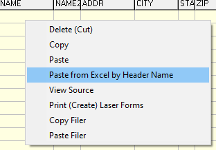 Example of the Paste from Excel by Header Name that shows when right clicking on the yellow grid.