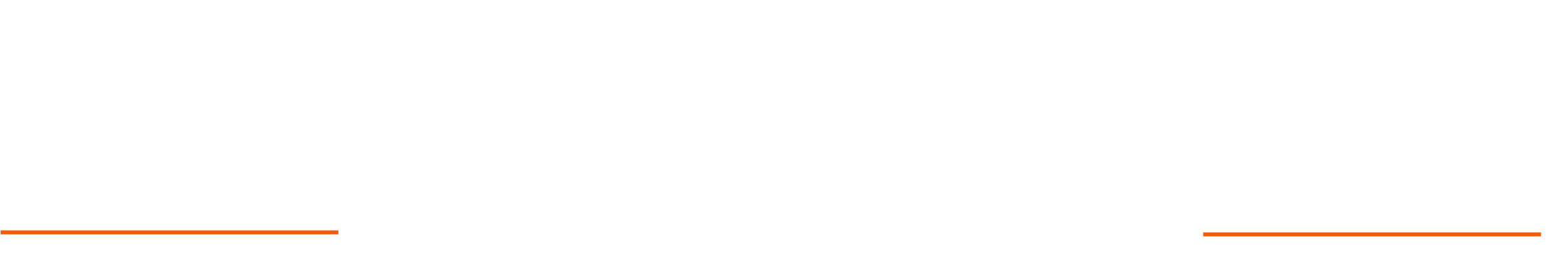 1099 Express